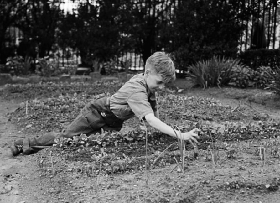The Children’s Victory Garden