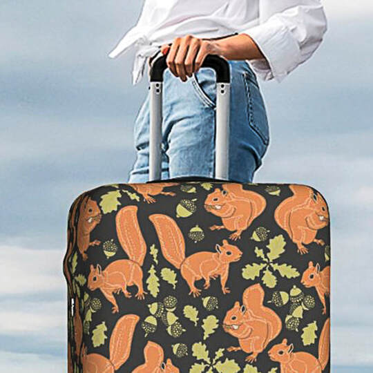 Half Suitcase – Will Travel