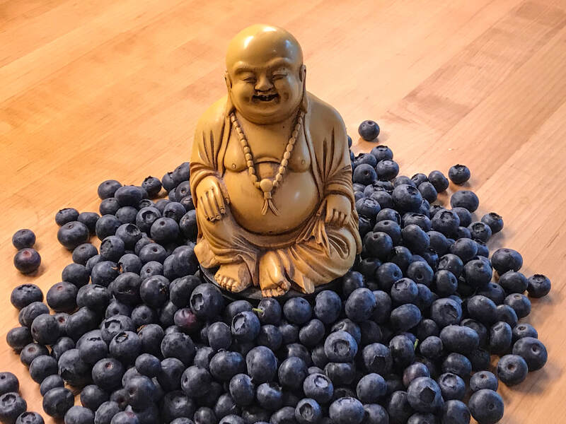 Good Karma Foods / Picky eaters / Karen McCann / EnjoyLivingAbroad.com