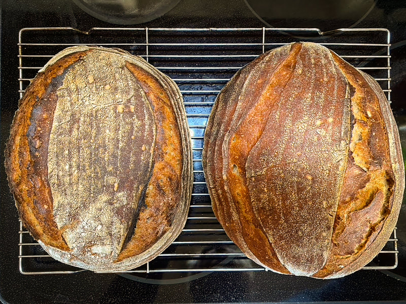 Phil's Amazing Sourdough Recipe /  Surviving the Pandemic / Keep Going! / Karen McCann / EnjoyLivingAbroad.com