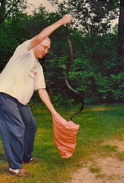 Using a Radio to Drive Out Household Pests / Karen McCann / EnjoyLivingAbroad.com