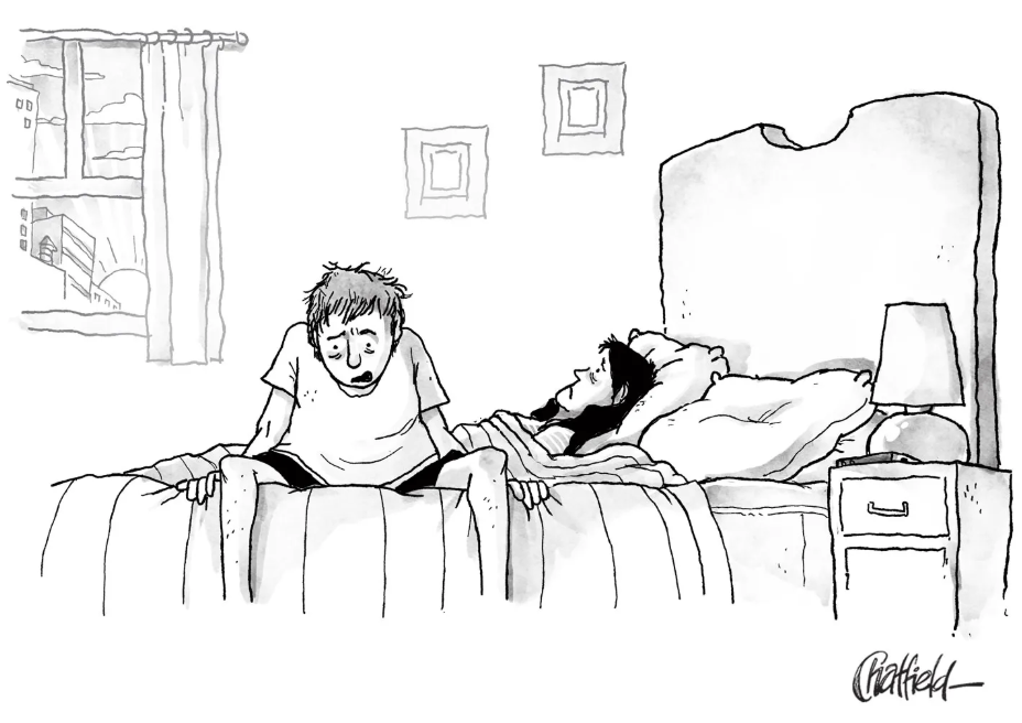 Hair-Raising Household Disasters R Us