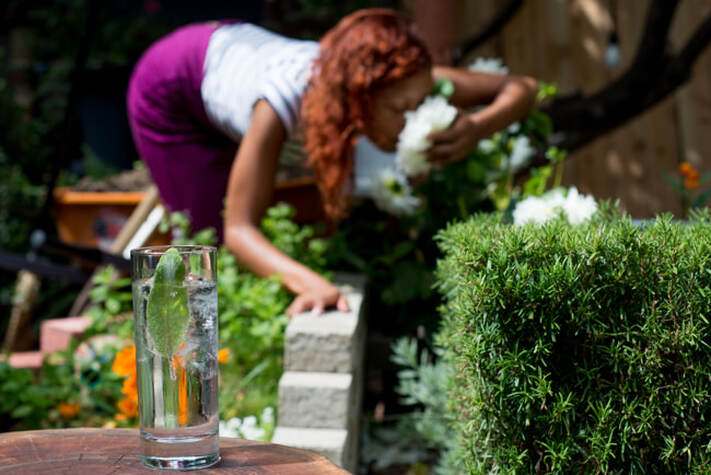 Vitamin G / Voodoo Cooking & Other Goofy Coping Strategies / Karen McCann / EnjoyLivingAbroad.com